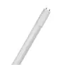 Ledvance LED Buis T8 Superior (EM/Mains) Ultra Output 14W 2600lm - 840 Koel Wit | 120cm - Vervangt 36W - Hoog Plafond